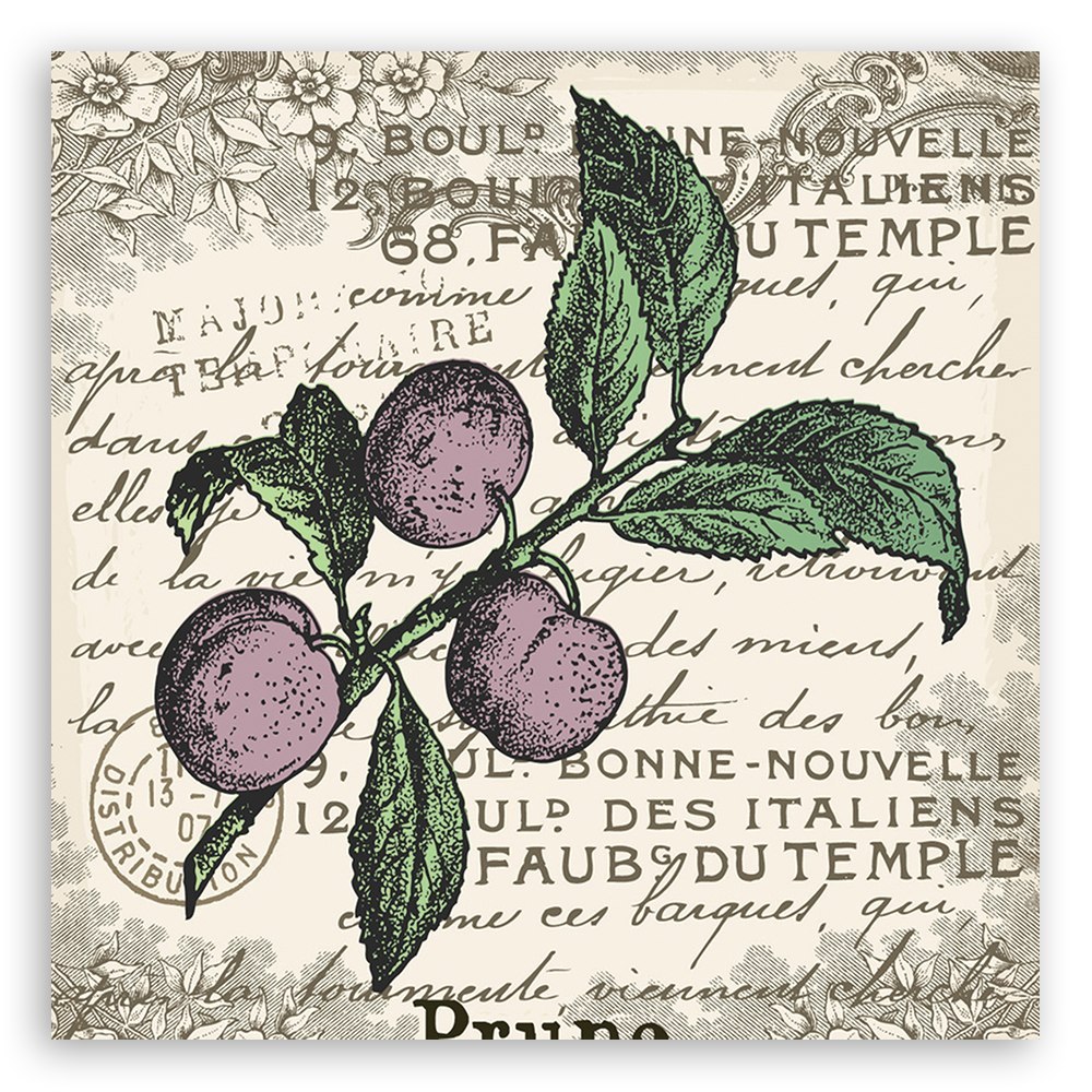 Emaga Obraz na płótnie, Śliwka vintage - 30x30